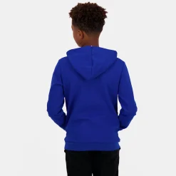Hot Le Coq Sportif EssentielsSweat à capuche Enfant Bleuelectro