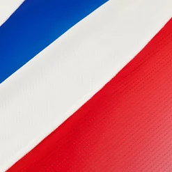 Hot Le Coq Sportif Équipe de France Olympique | Paris 2024Maillot Équipe de France Homme Marshmallow/gradiantbbr